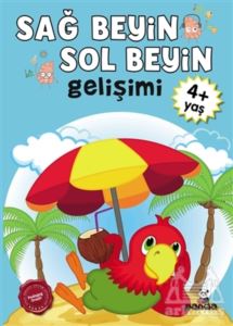 4 Yaş Sağ Beyin-Sol Beyin Gelişimi