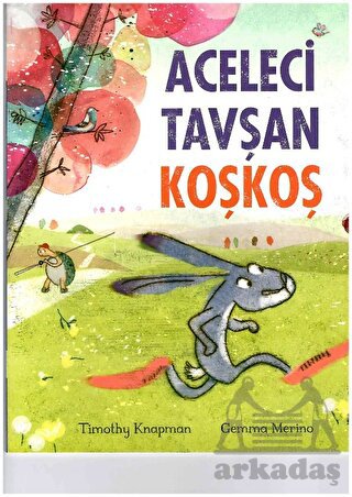 Aceleci Tavşan Koşkoş