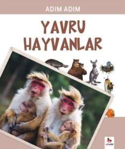 Adım Adım Yavru Hayvanlar