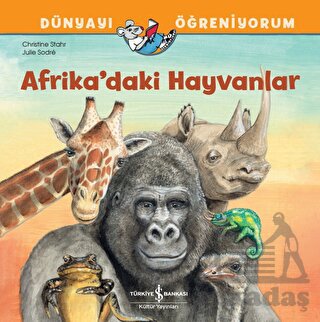 Afrika'daki Hayvanlar Dünyayı Öğreniyorum