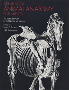 An Atlas Of Animal Anatomy For Artists