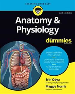 Anatomy And Physiology For Dummies