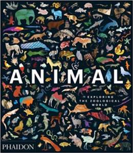 Animal: Exploring The Zoological World