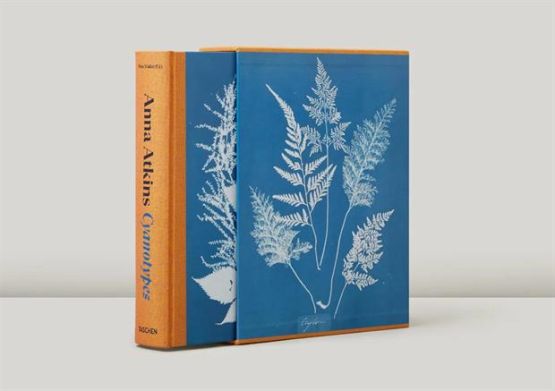 Anna Atkins - Cyanotypes