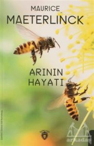 Arının Hayatı