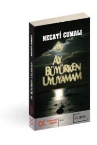 Ay Büyürken Uyuyamam