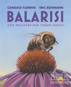 Balarısı