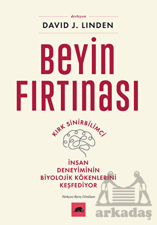 Beyin Fırtınası