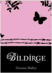 Bildirge