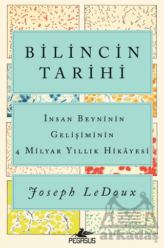 Bilincin Tarihi: İnsan Beyninin Gelişiminin 4 Milyar Yıllık Hikayesi