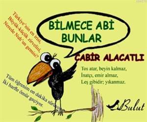 Bilmece Abi Bunlar