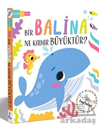 Bir Balina Ne Kadar Büyüktür?