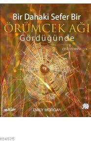 Bir Dahaki Sefer Örümcek Ağı Gördüğünde