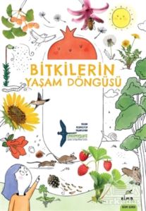 Bitkilerin Yaşam Döngüsü