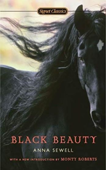 Black Beauty - Thumbnail