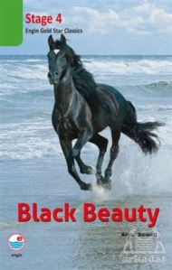 Black Beauty Cd'li (Stage 4)