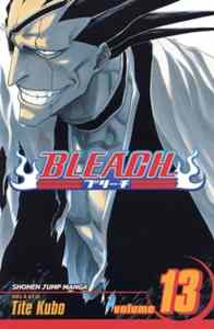 Bleach 13