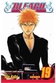 Bleach 19