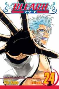 Bleach 24