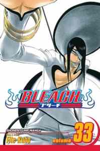 Bleach 33