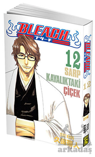 Bleach 12