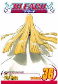 Bleach 36