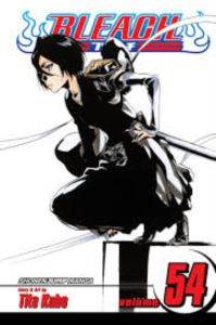 Bleach 54