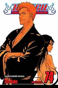 Bleach 74