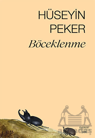 Böceklenme