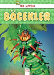 Böcekler