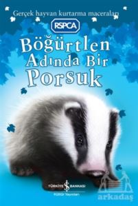 Böğürtlen Adında Bir Porsuk