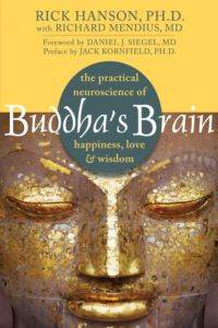 Buddha's Brain: The Practical Neuroscience Of Happiness, Love, And Wisdom