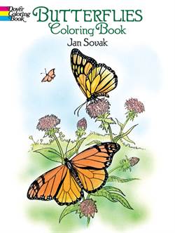 Butterflies Coloring Book