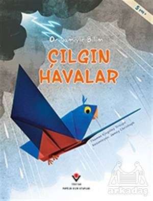 Çılgın Havalar - Origamiyle Bilim