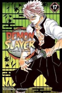 Demon Slayer 17
