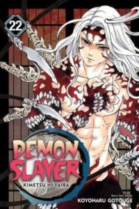 Demon Slayer 22