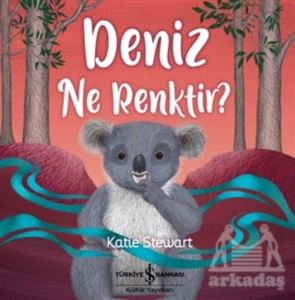 Deniz Ne Renktir?