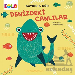 Denizdeki Canlılar - Kaydır Ve Gör