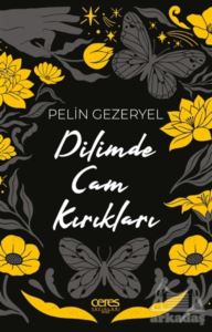 Dilimde Cam Kırıkları