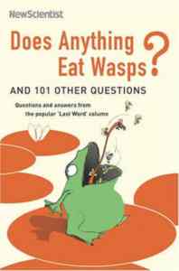 Does Anything Eat Wasps