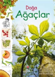 Doğa - Ağaçlar