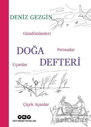 Doğa Defteri - Gündönümleri, Fırtınalar, Uçanlar, Çiçek Açanlar