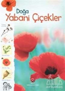 Doğa - Yabani Çiçekler