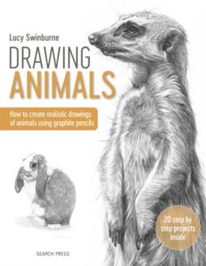 Drawing Animals