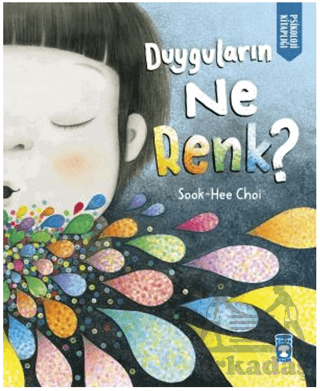 Duyguların Ne Renk?