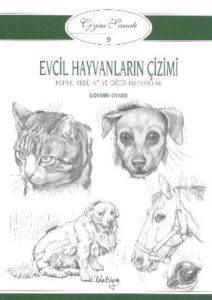 Evcil Hayvanların Çizimi