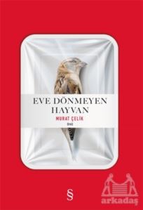 Eve Dönmeyen Hayvan