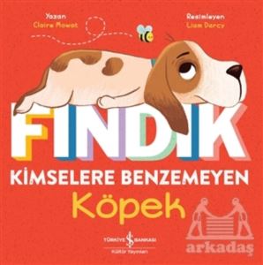 Fındık Kimselere Benzemeyen Köpek