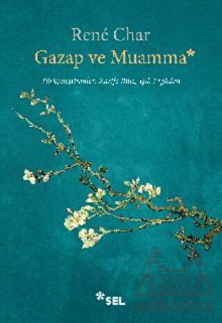 Gazap Ve Muamma