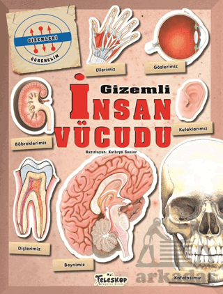 Gizemleri Öğrenelim - Gizemli İnsan Vücudu